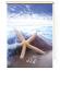 Preview: Extartiqe Duschrollo - Vitamin-Sea-Seestern-Duschrollo